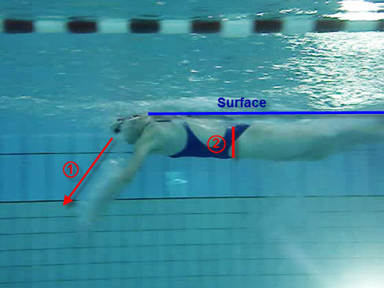 technique natation